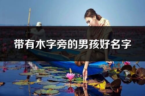 帶有木字旁的男孩好名字