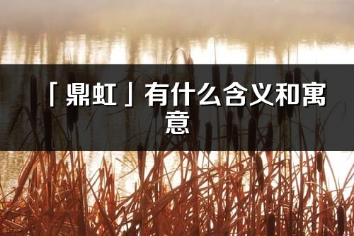 「鼎虹」有什么含義和寓意_鼎虹名字的出處與意思