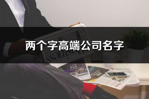 兩個字高端公司名字