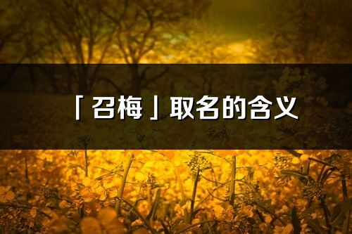 「召梅」取名的含義_召梅名字寓意解釋