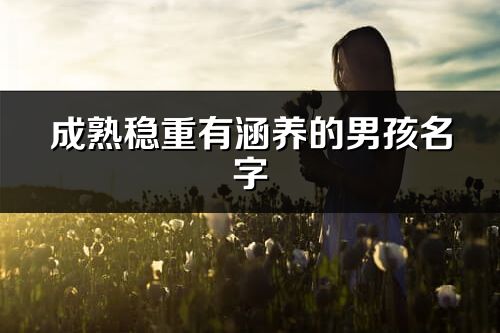 成熟穩(wěn)重有涵養(yǎng)的男孩名字