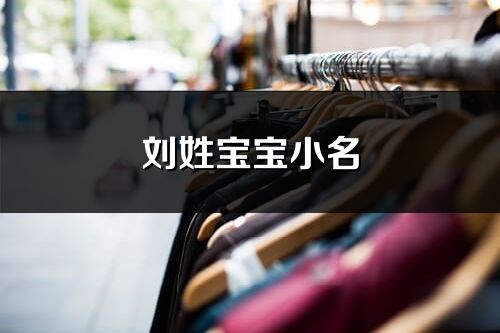 劉姓寶寶小名