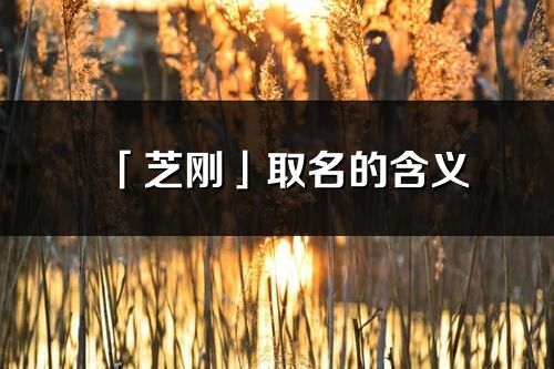 「芝剛」取名的含義_芝剛名字寓意解釋