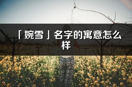「婉雪」名字的寓意怎么樣_婉雪的出處