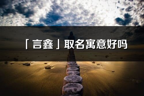 「言鑫」取名寓意好嗎_言鑫名字含義及五行