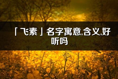 「飛素」名字寓意,含義,好聽嗎_飛素名字分析打分
