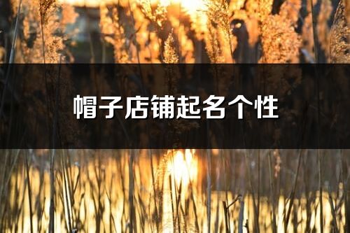 帽子店鋪起名個性