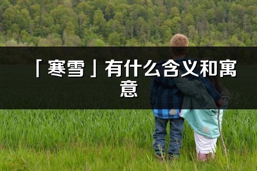 「寒雪」有什么含義和寓意_寒雪名字的出處與意思