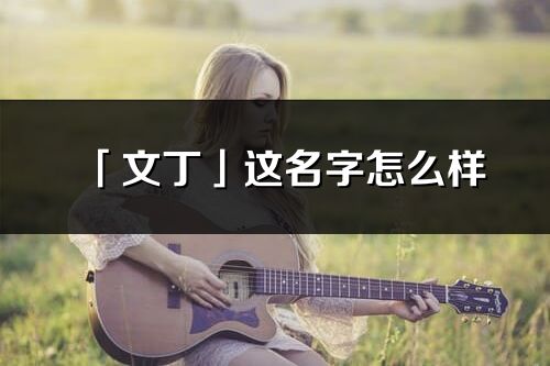 「文丁」這名字怎么樣_文丁的名字解釋