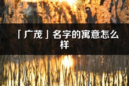 「廣茂」名字的寓意怎么樣_廣茂的出處
