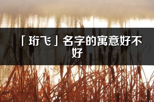 「珩飛」名字的寓意好不好_珩飛含義分析