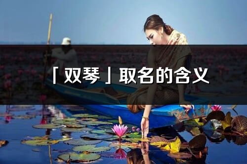「雙琴」取名的含義_雙琴名字寓意解釋