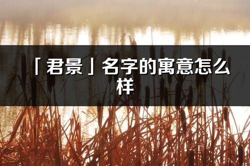 「君景」名字的寓意怎么樣_君景的出處