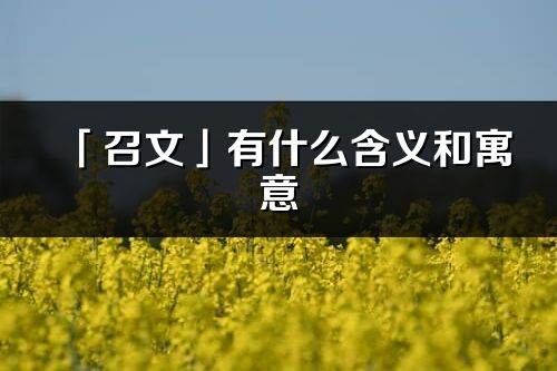 「召文」有什么含義和寓意_召文名字的出處與意思