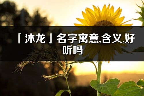 「沐龍」名字寓意,含義,好聽嗎_沐龍名字分析打分