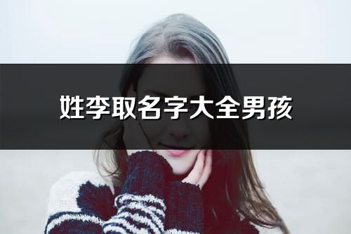 姓李取名字大全男孩