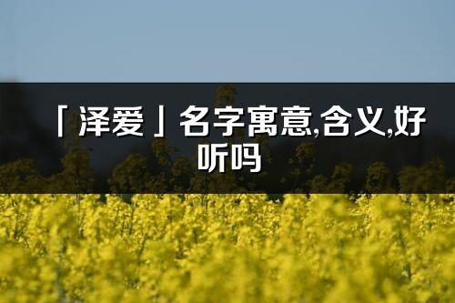 「澤愛」名字寓意,含義,好聽嗎_澤愛名字分析打分