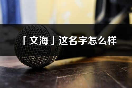 「文?！惯@名字怎么樣_文海的名字解釋