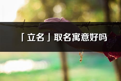 「立名」取名寓意好嗎_立名名字含義及五行
