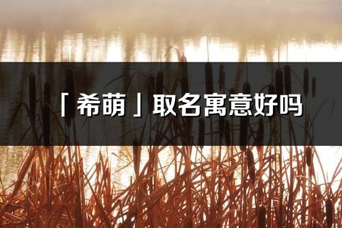 「希萌」取名寓意好嗎_希萌名字含義及寓意