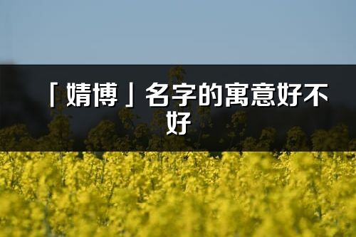「婧博」名字的寓意好不好_婧博含義分析
