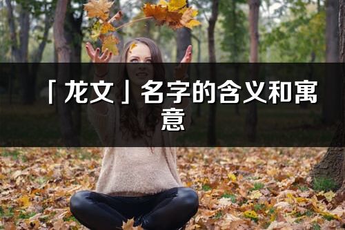 「龍文」名字的含義和寓意_龍文的出處與意思解釋