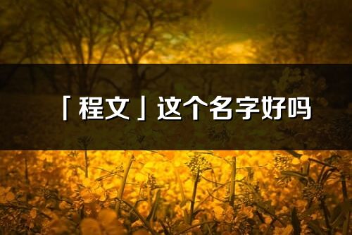 「程文」這個名字好嗎_程文名字寓意,含義