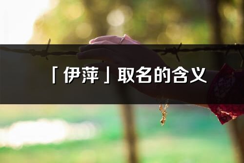 「伊萍」取名的含義_伊萍名字寓意