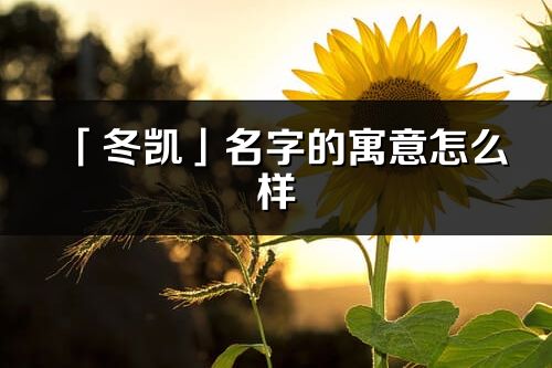 「冬凱」名字的寓意怎么樣_冬凱的出處