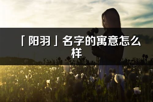 「陽(yáng)羽」名字的寓意怎么樣_陽(yáng)羽的出處