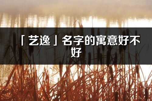 「藝逸」名字的寓意好不好_藝逸含義分析
