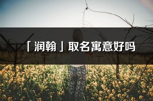 「潤翰」取名寓意好嗎_潤翰名字含義及五行
