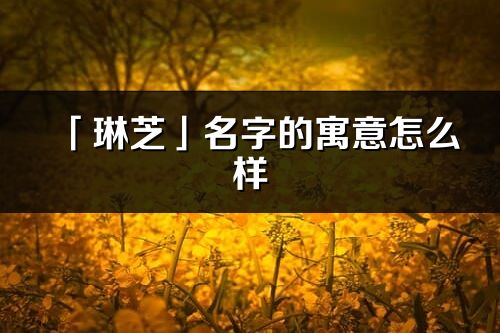 「琳芝」名字的寓意怎么樣_琳芝的出處