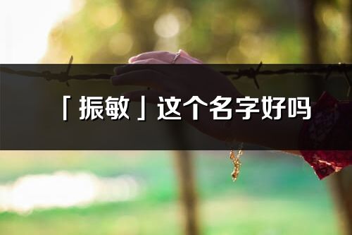 「振敏」這個名字好嗎_振敏名字寓意,含義