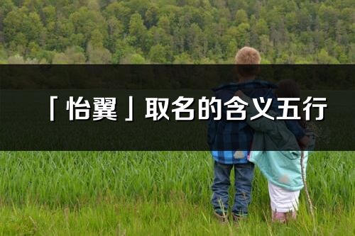 「怡翼」取名的含義五行_怡翼名字寓意解釋