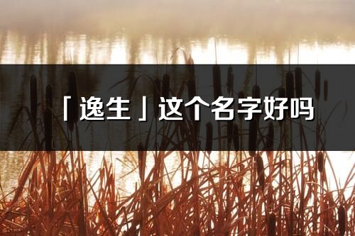 「逸生」這個名字好嗎_逸生名字寓意,含義