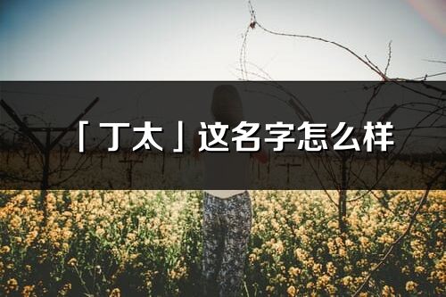 「丁太」這名字怎么樣_丁太的名字解釋