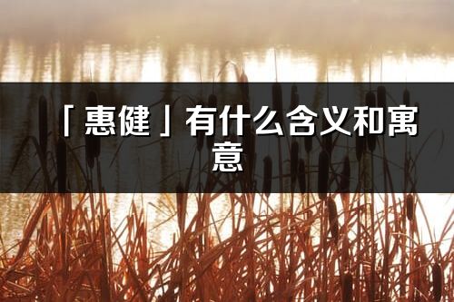 「惠健」有什么含義和寓意_惠健名字的出處與意思