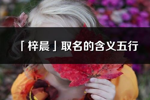 「梓晨」取名的含義五行_梓晨名字寓意解釋