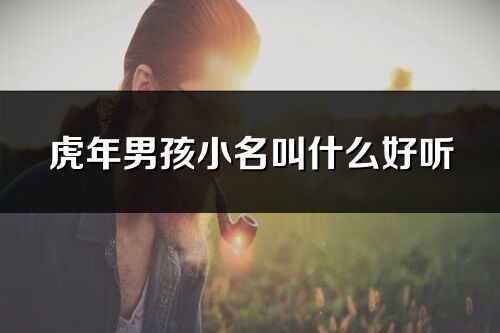 虎年男孩小名叫什么好聽