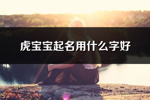 虎寶寶起名用什么字好