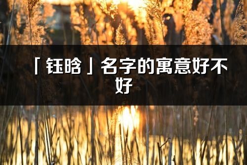 「鈺晗」名字的寓意好不好_鈺晗含義分析