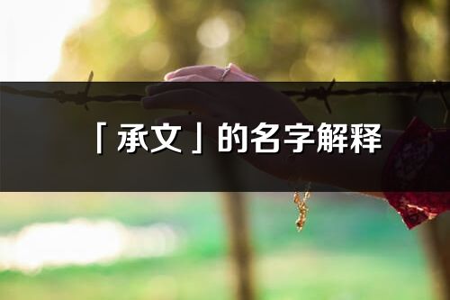 「承文」的名字解釋_承文含義分析