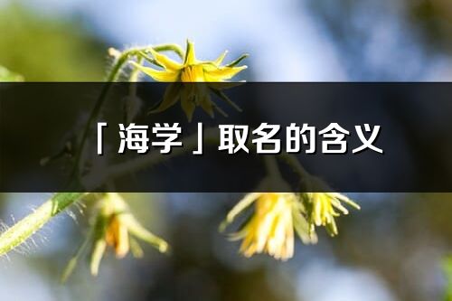 「海學」取名的含義_海學名字寓意解釋