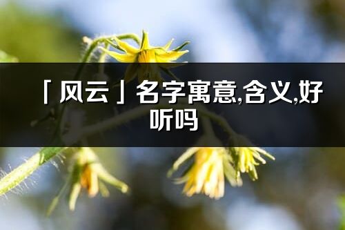 「風云」名字寓意,含義,好聽嗎_風云名字分析打分