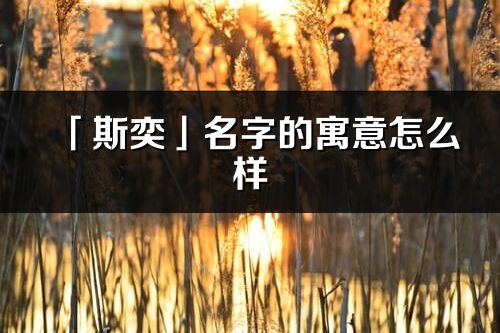 「斯奕」名字的寓意怎么樣_斯奕的出處