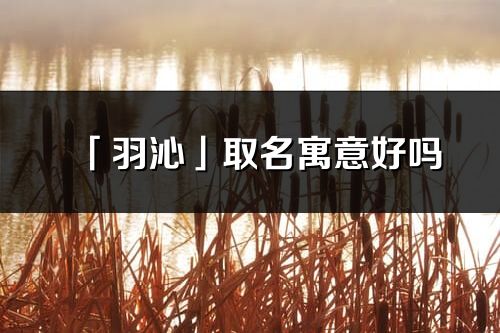 「羽沁」取名寓意好嗎_羽沁名字含義及五行