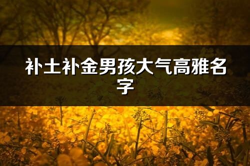 補(bǔ)土補(bǔ)金男孩大氣高雅名字