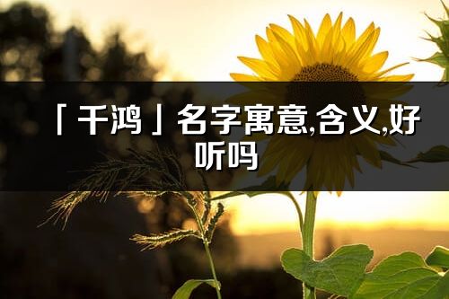 「千鴻」名字寓意,含義,好聽嗎_千鴻名字分析打分