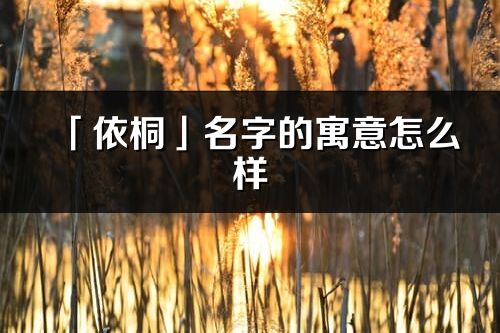 「依桐」名字的寓意怎么樣_依桐的出處